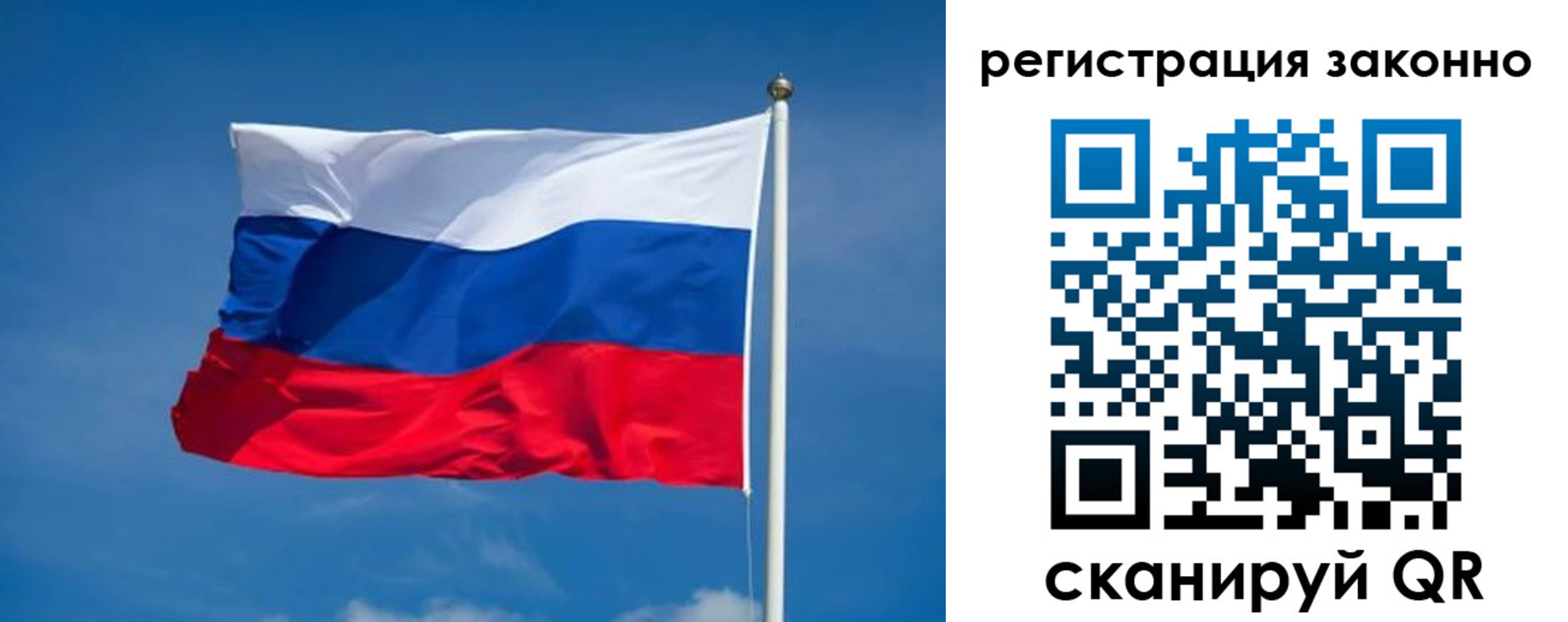 прописка поиск в Ленинградской области