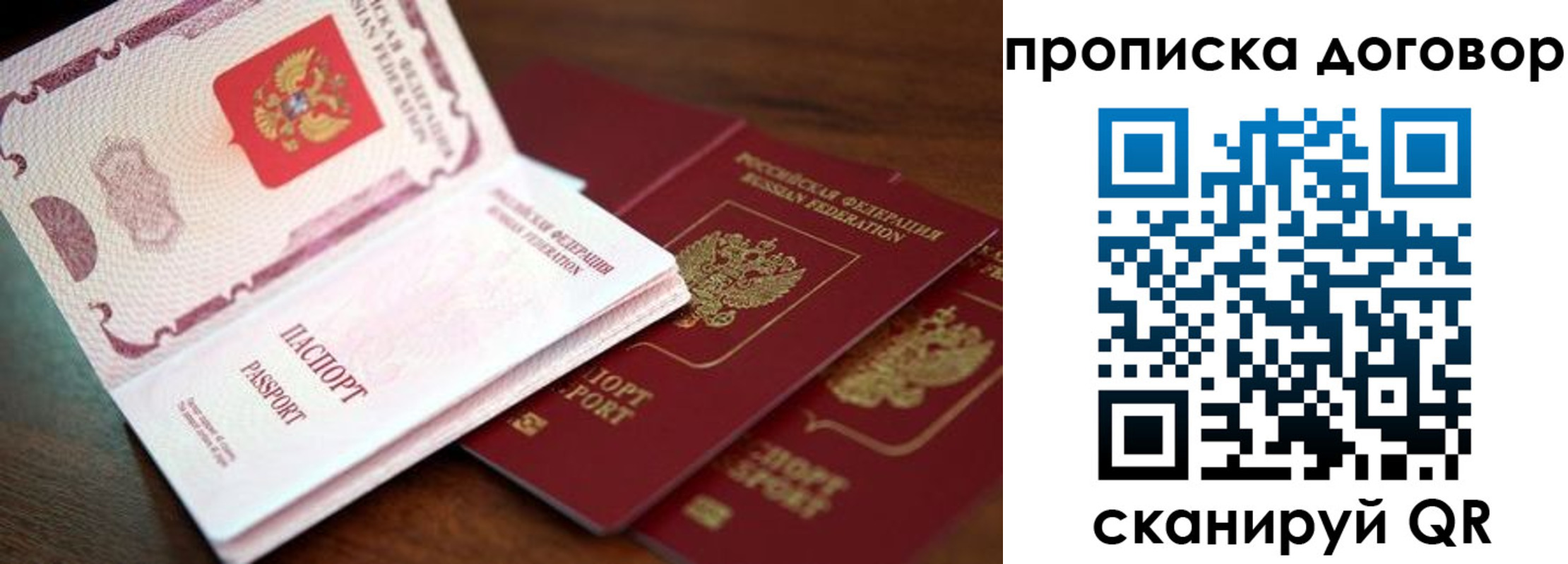 прописка для школы в Ленинградской области